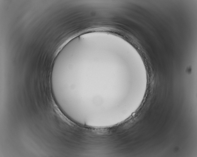 X0000115201417200912091123