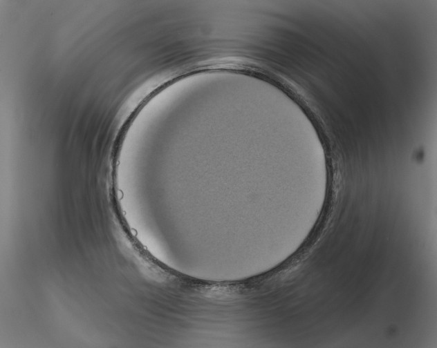 X0000115201418200912091123