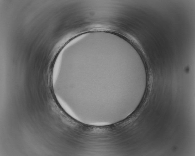 X0000115201419200912091123