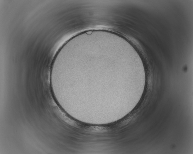 X0000115201420200912091123