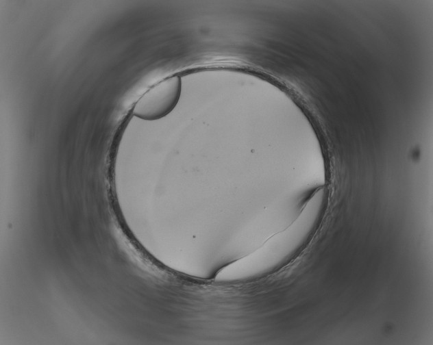 X0000115201422200912091123