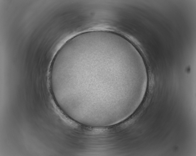 X0000115201423200912091123