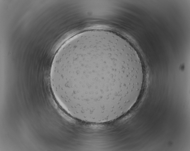 X0000115201425200912091123