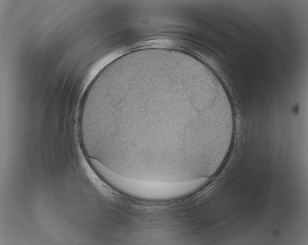 X0000115201426200912091123