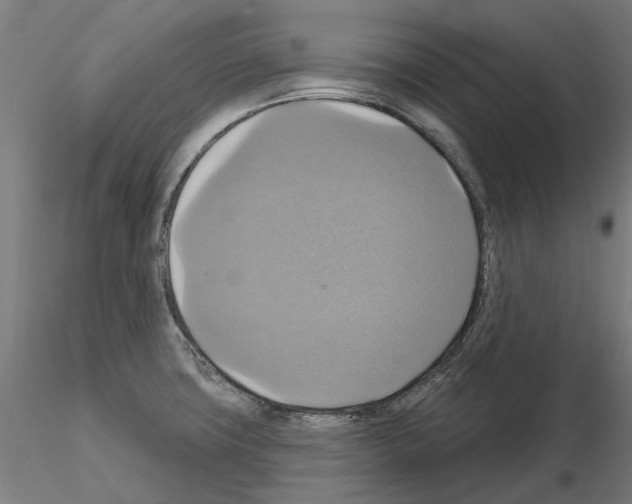 X0000115201427200912091123