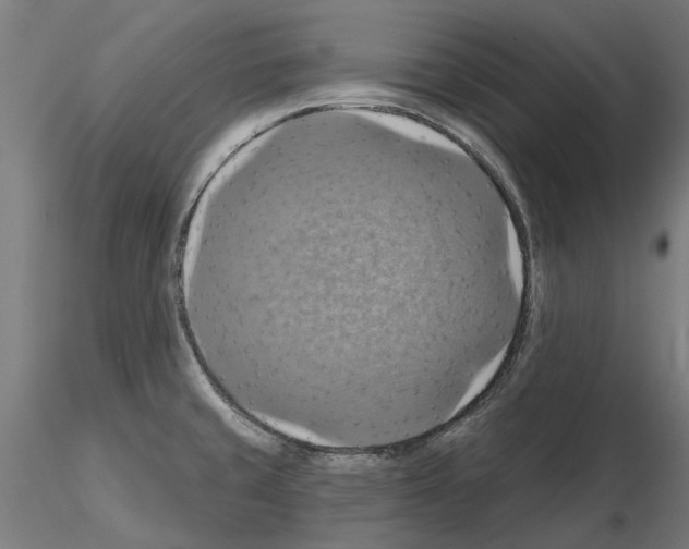 X0000115201429200912091123