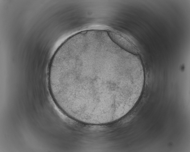 X0000115201430200912091123