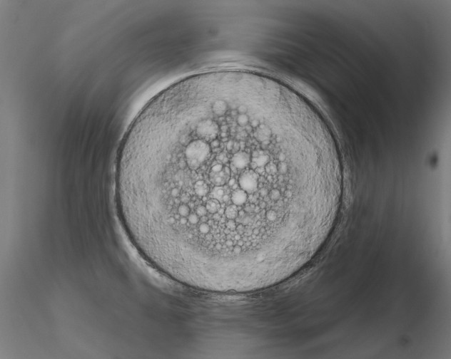 X0000115201431200912091123