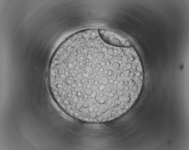 X0000115201432200912091123