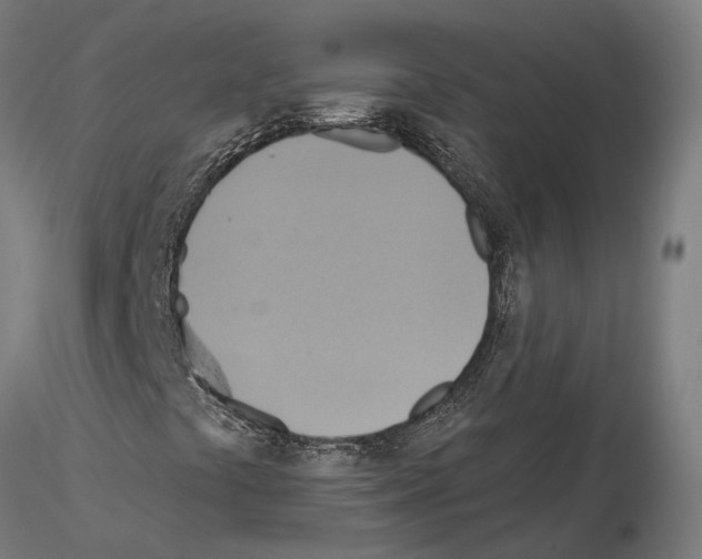 X0000115201441200912091123