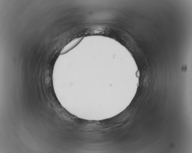 X0000115201442200912091123