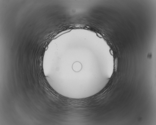 X0000115201443200912091123