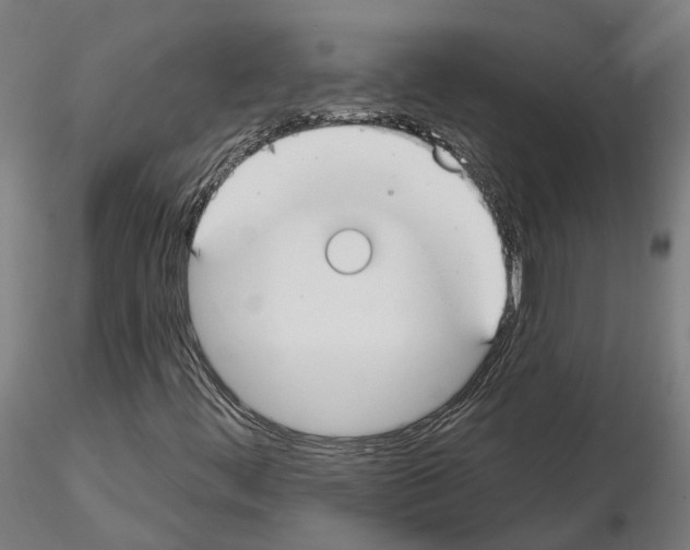 X0000115201444200912091123