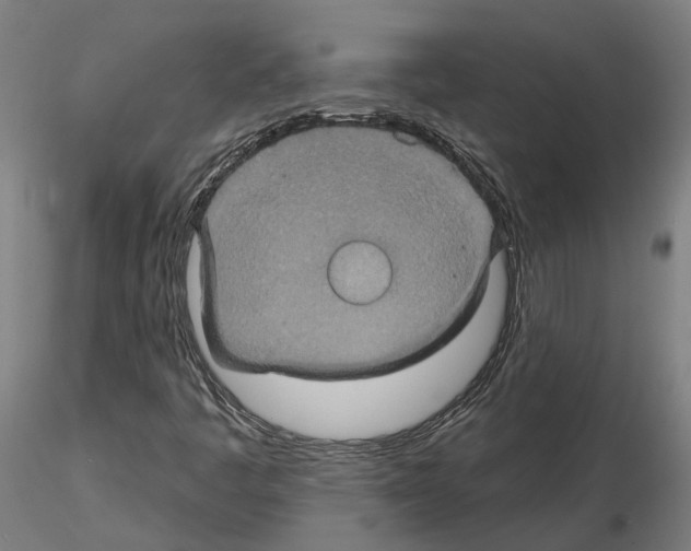 X0000115201445200912091123