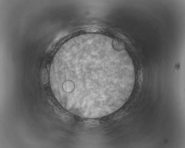 X0000115201446200912091123