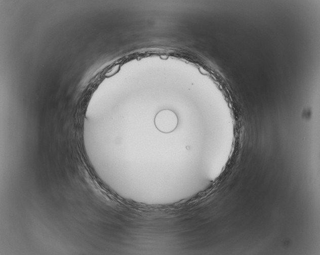 X0000115201448200912091123