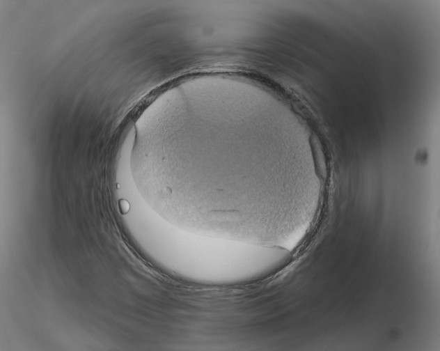 X0000115201449200912091123