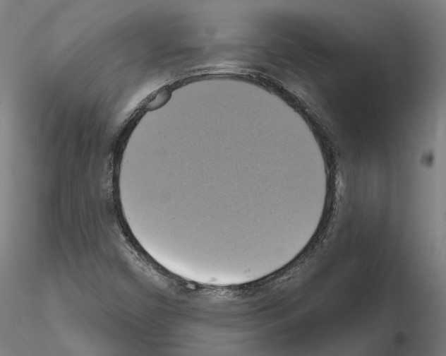 X0000115201450200912091123