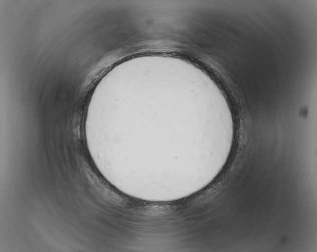 X0000115201451200912091123