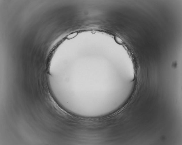 X0000115201452200912091123