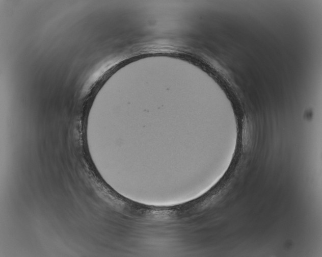 X0000115201453200912091123