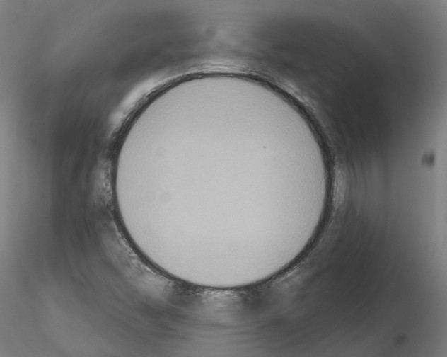 X0000115201454200912091123