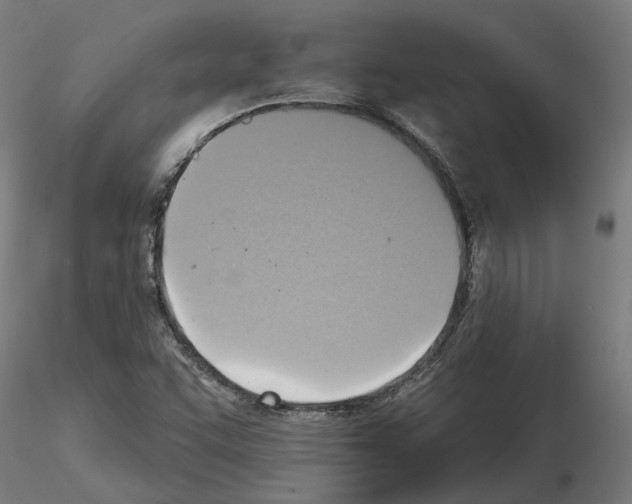 X0000115201455200912091123