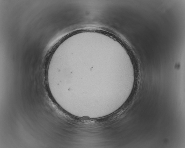 X0000115201456200912091123