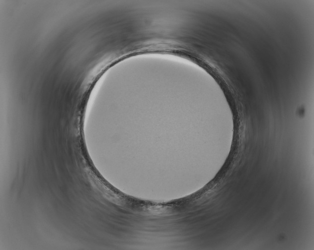 X0000115201459200912091123