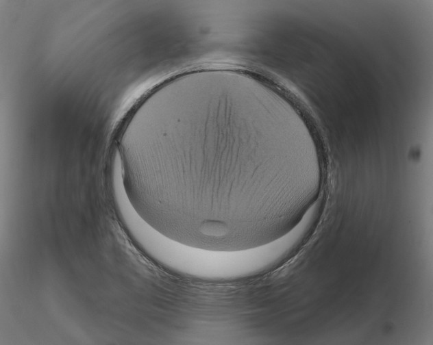 X0000115201461200912091123