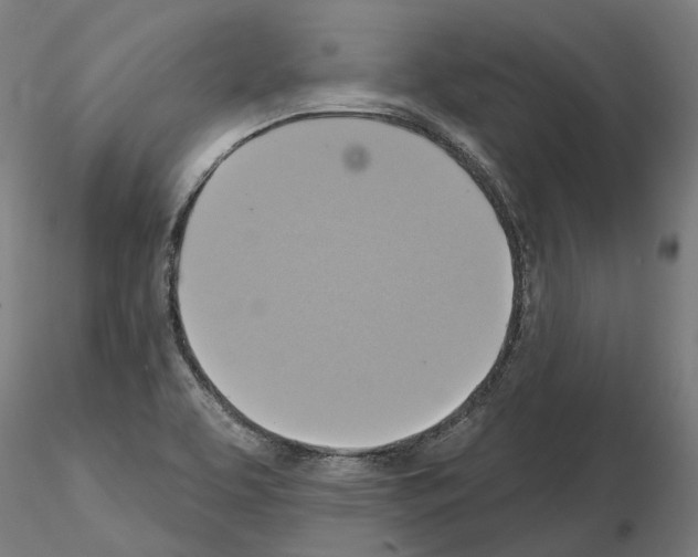 X0000115201463200912091123