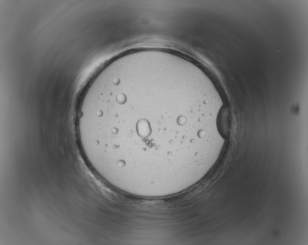 X0000115201464200912091123