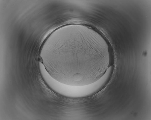 X0000115201465200912091123