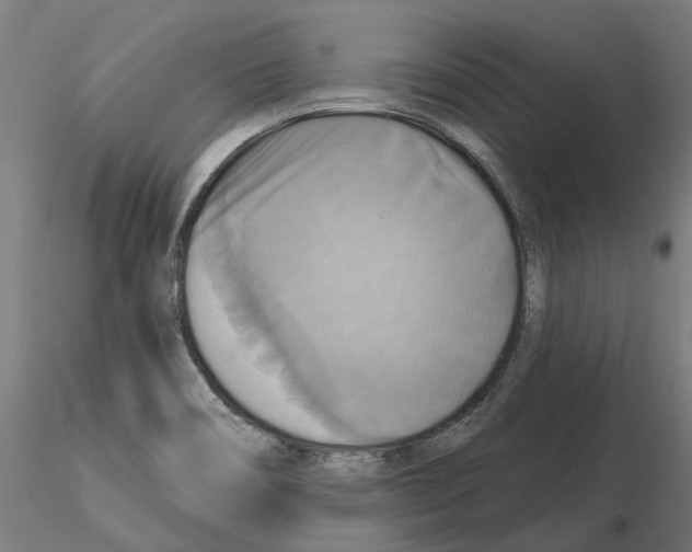 X0000115201466200912091123