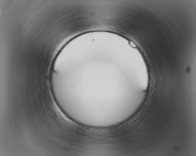 X0000115201468200912091123