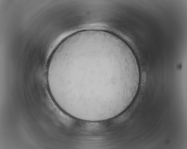 X0000115201470200912091123