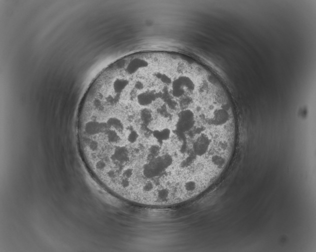 X0000115201471200912091123