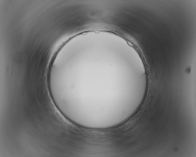 X0000115201472200912091123