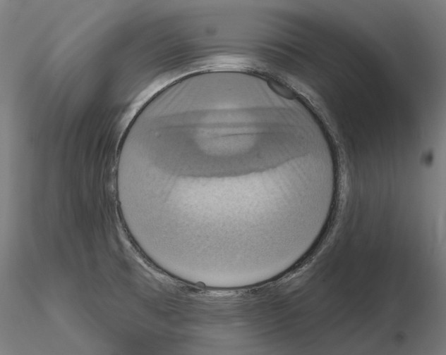 X0000115201473200912091122