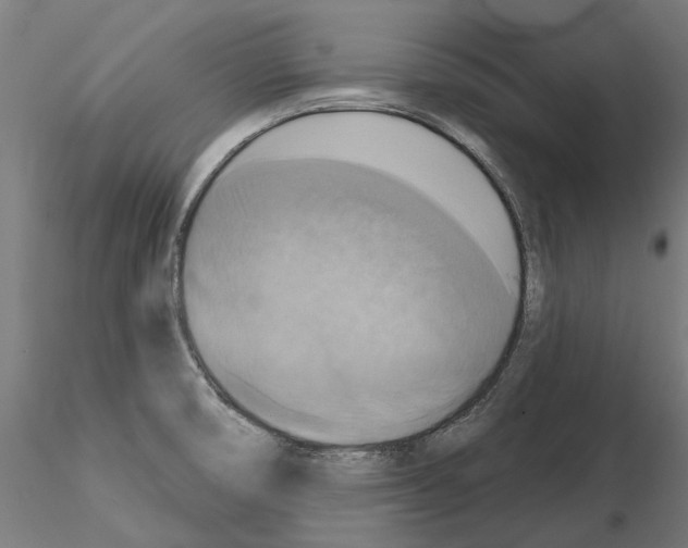 X0000115201474200912091122
