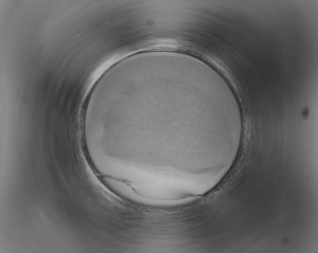 X0000115201475200912091122