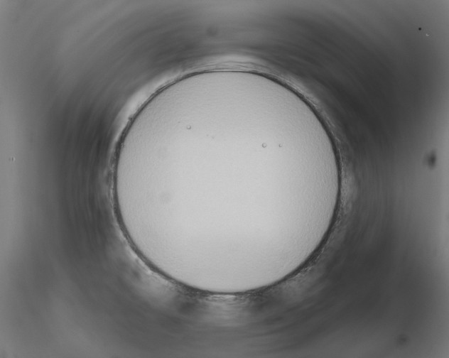 X0000115201478200912091122