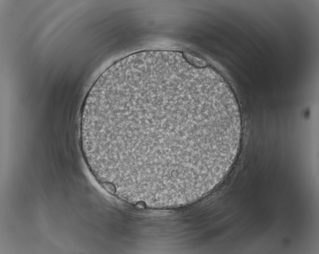 X0000115201479200912091122