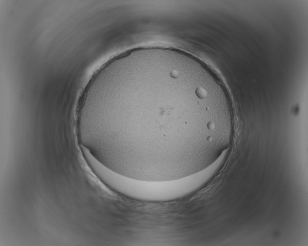 X0000115201480200912091122