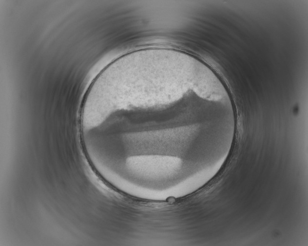 X0000115201482200912091122
