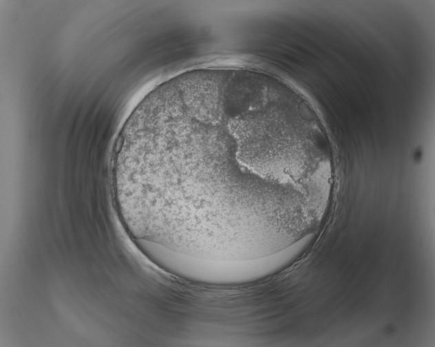 X0000115201483200912091122