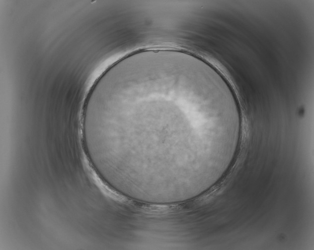 X0000115201485200912091122