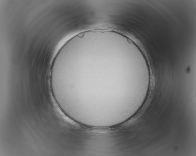 X0000115201486200912091122