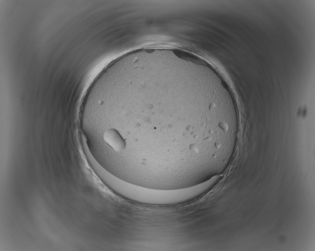X0000115201488200912091122