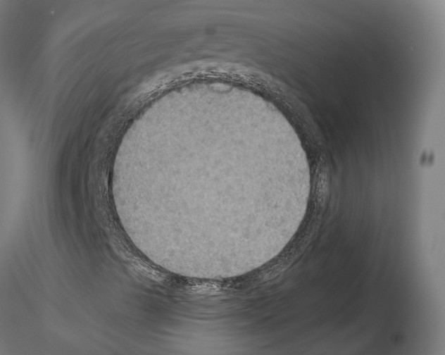 X0000115201489200912091121
